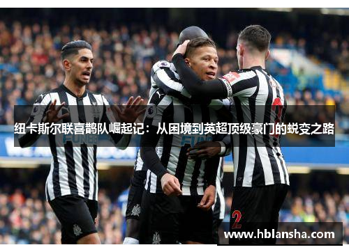 纽卡斯尔联喜鹊队崛起记:从困境到英超顶级豪门的蜕变之路 纽卡斯尔联喜鹊队崛起记:从困境到英超顶级豪门的蜕变之路