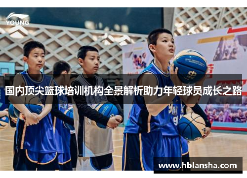 国内顶尖篮球培训机构全景解析助力年轻球员成长之路 国内顶尖篮球培训机构全景解析助力年轻球员成长之路