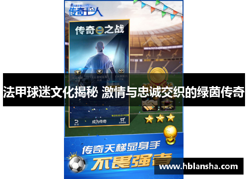 法甲球迷文化揭秘 激情与忠诚交织的绿茵传奇 法甲球迷文化揭秘 激情与忠诚交织的绿茵传奇