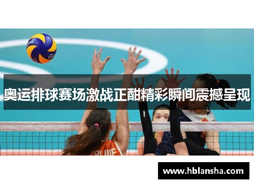 奥运排球赛场激战正酣精彩瞬间震撼呈现